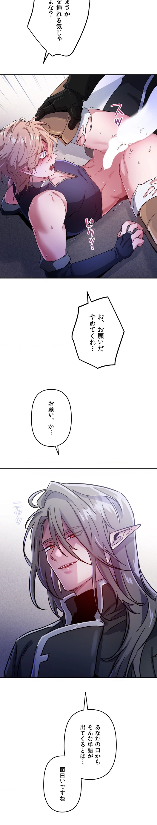 ダークフォール〜踏みにじられた王が失くしたもの〜 - Page 36